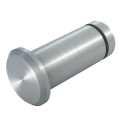 Bolts (suitable for clevises)